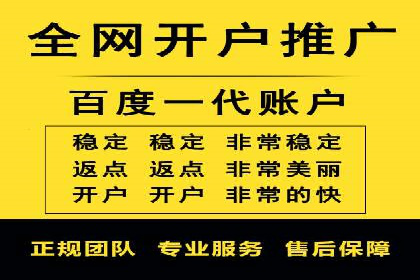 SEM服务在本地化营销中的应用案例